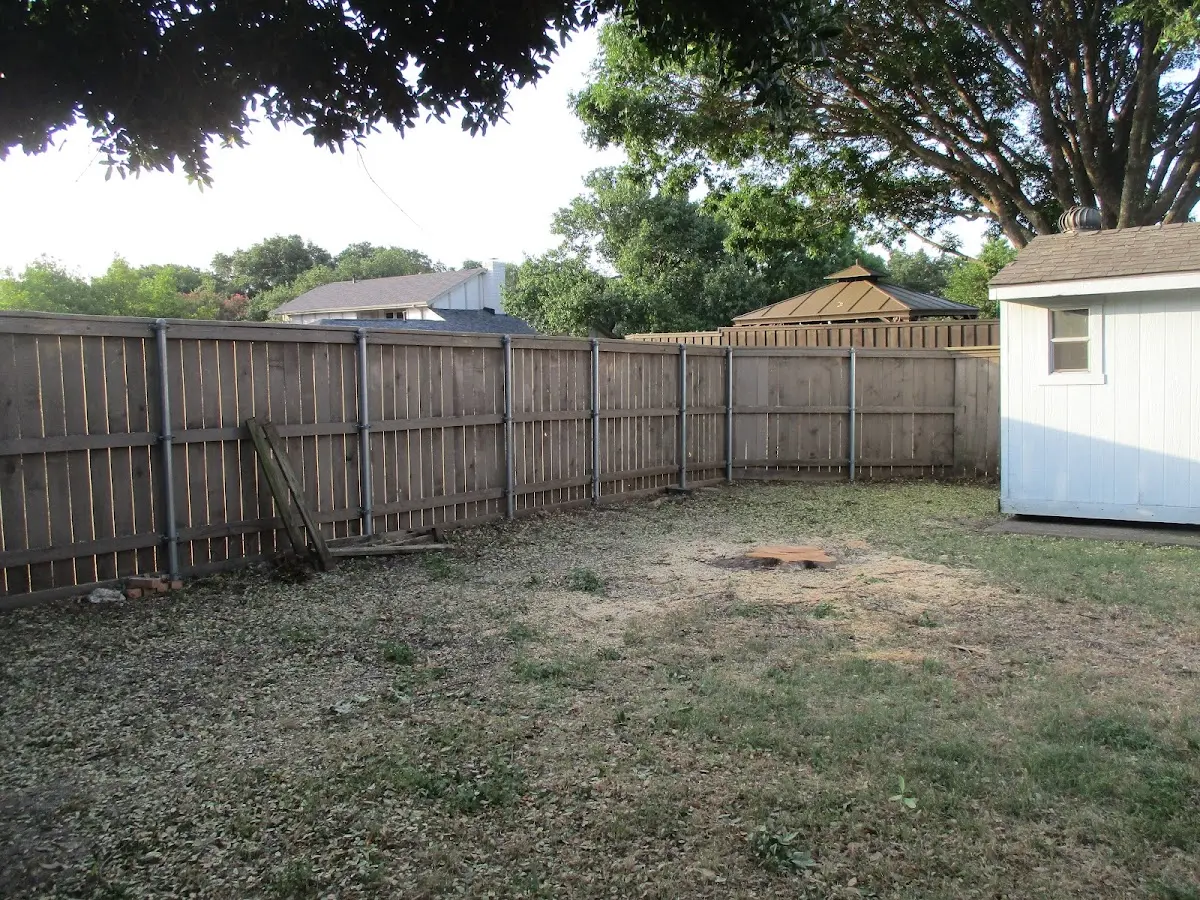 Cleared yard after professional tree removal in Cannon Falls