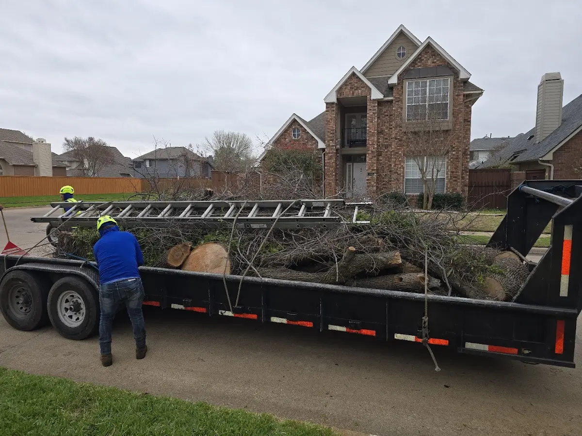 Expert Crown Reduction with proper safety equipment in Cannon Falls